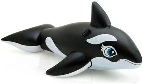 Great whale a chevaucher Intex