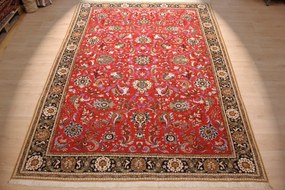 Ghom Tappeto persiano 340 x 250 (Iran) Annodato A Mano