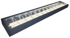 Lampada fluorescente T8 2xG13/18W/230V 120 cm nero