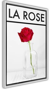 Poster Rose in the Vase