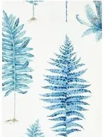 Tapete Fernery von Sanderson - China Blue
