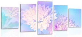 Quadri 5 pezzi – Fiore di crisantemo
