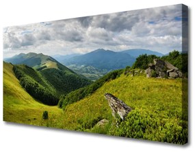 Quadro su tela Paesaggio del prato di montagna 100x50 cm