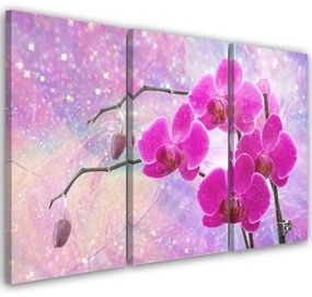 Quadro su tela 3  pannelli, Astrazione orchidea essenziale  Dimensioni 90x60