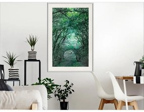 Poster Tree Tunnel