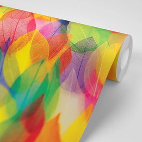 Carta da parati – Foglie in Colori Autunnali