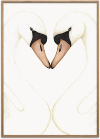 Poster incorniciato in legno di quercia Turtelsvanerne