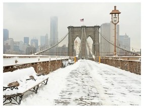 Fotomurale Ponte newyorkese coperto dalla neve