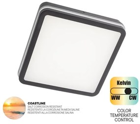Redo 90288 - Lampada LED da esterno ISOLA LED/24W/230V 3000/4000/6500K IP54