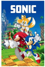 Coperta per bambini in vello 100x150 cm Sonic – Jerry Fabrics