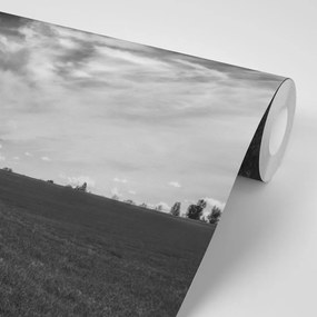 Carta da parati – Paesaggio incantevole in bianco e nero