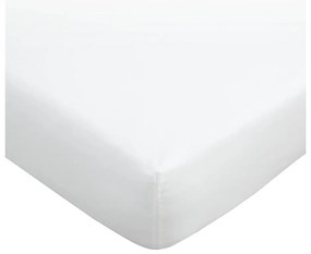 Lenzuolo bianco in cotone egiziano elasticizzato 90x190 cm - Bianca