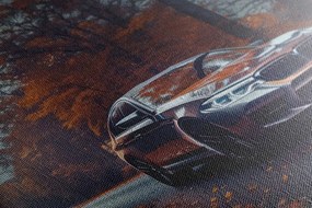 Stampa su tela – BMW al chiaro di luna
