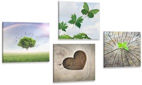 Set di quadri – Angolo unico della natura