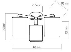 Lampadario a plafone NADIA 3xE27/60W/230V