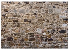 Fotomurale adesivo Stone Fence