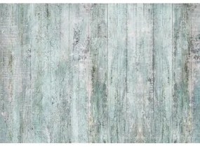 Carta da parati - Rustic Textures - First Variant Premium 450x315