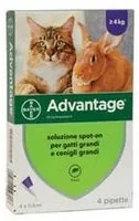 antiparassitario per gatti e conigli oltre kg.4 - in conf. da 4 pipette spot-on fer348720