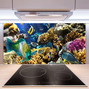 Rivestimento parete cucina Natura della barriera corallina 100x50 cm