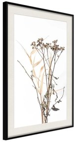 Poster  Diary of a Herbalist  Cornice Quadri Cornice nera con pass-partout, Larghezza x Altezza Home decor 20x30