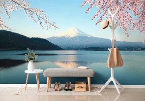 Carta da parati – Vista dal lago sul Fuji