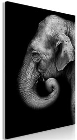 Quadro Portrait of Elephant (1 Part) Vertical  Colore bianco e nero, Dimensioni e Misure 80x120