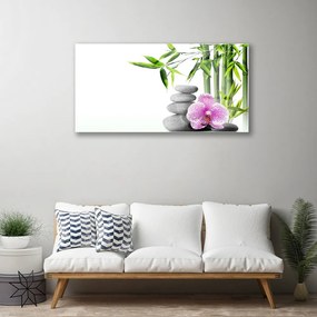 Quadro vetro Bambù Spa Arte Zen 100x50 cm