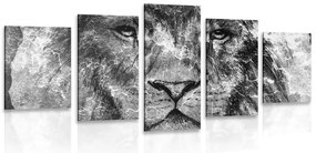 Quadri 5 pezzi – Volto di leone in bianco e nero