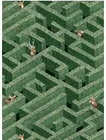 Josephine Munsey Tapete Labyrinth with Deer - Green