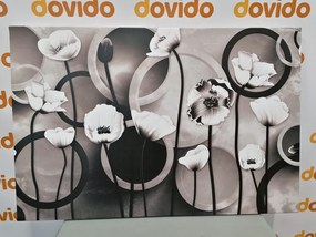 Stampa su tela – Papaveri su sfondo astratto in bianco e nero