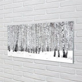 Quadro vetro Alberi betulle invernali 100x50 cm