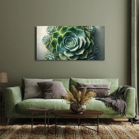 Quadro su tela – Bellezza della pianta grassa