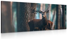 Quadro su tela – Cervo nel bosco