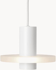 Lampada a sospensione piccola Flake