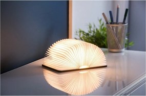 Decorazione luminosa marrone con ricarica USB Booklight – Gingko