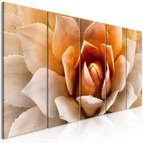 Quadro Agave (5 Parts) Narrow Orange  Colore Arancione, Dimensioni e Misure 225x90