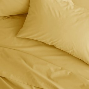 Lenzuolo con angoli giallo in percalle 90x190 cm Easy Iron Percale – Catherine Lansfield