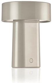Lampada da tavolo LED greige in plastica (altezza totale 18 cm) Oblong – Zone