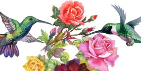 Quadro su tela – Colibrì con fiori