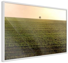 Poster Farmland