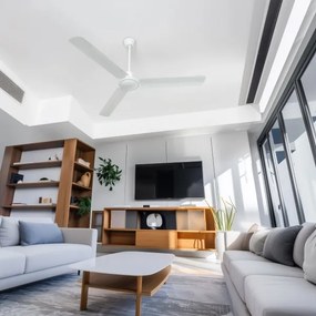 Globo 310 - Ventilatore da soffitto FERRO