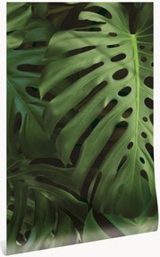 Carta da parati in tessuto non tessuto Monstera