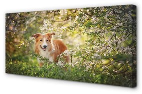 Quadro su tela Fiori della foresta per cani 100x50 cm