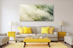 Quadro su tela – Foresta nebbiosa