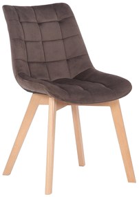 Sedia Da Pranzo İn Velluto Passaic: Stile, Comfort E Eleganza / Grau