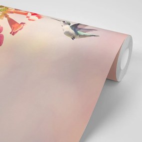Carta da parati – Invasione di colibrì