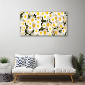 Quadro su tela Fiori di margherite 100x50 cm