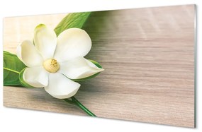 Pannello paraschizzi cucina Magnolia bianca 100x50 cm