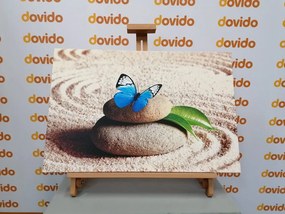Stampa su tela – Farfalla blu nel giardino Zen