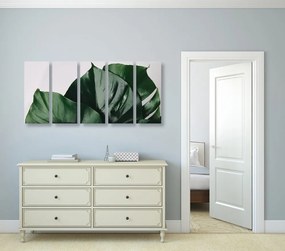 Quadri 5 pezzi – Foglia di monstera